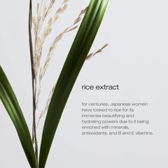 Ultimate Reset Extreme Repair Treatment