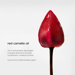 Essence Absolue Nourishing Protective Hair Oil